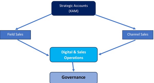 sales director training